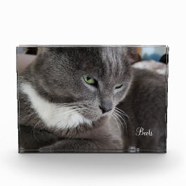 Bloque fotográfico de tu mascota