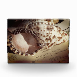 Bloque fotográfico - Gráfico de shell de las tecla