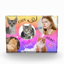 Bloque fotográfico - La madre de los gatos vive aq