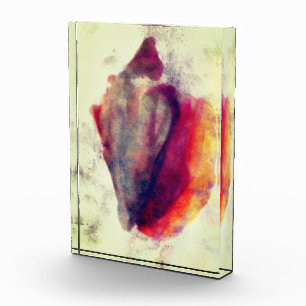 Bloque Para Fotos Acuarela Gastropod Burgundy Gold Shell