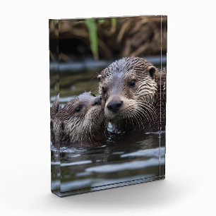 Bloque Para Fotos **"Adrift in Love: Mummy and Baby Otter"**