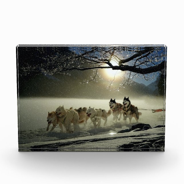 Bloque Para Fotos Alaskan Husky Dog Sled Race (Anverso)