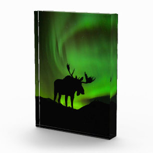Bloque Para Fotos Alce con Aurora Boreal Verde, Alaska