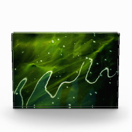 Bloque Para Fotos Algas verdes y pba de agua