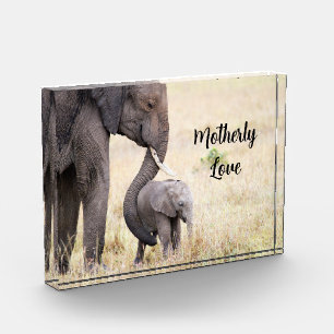 Bloque Para Fotos Ama a la madre el bebé elefante personalizado