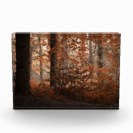 Bloque Para Fotos Amanecer de Otoño