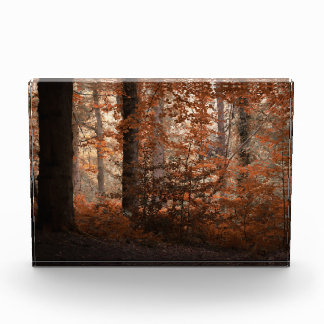 Bloque Para Fotos Amanecer de Otoño