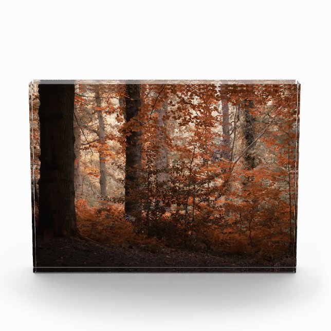 Bloque Para Fotos Amanecer de Otoño (Anverso)