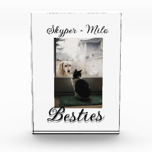 Bloque Para Fotos Amigos mascotas mejores agregar nombre mascota fot