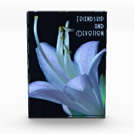 Bloque Para Fotos Amistad Personalizada Flor Púrpura Cierre