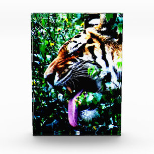 Bloque Para Fotos Amur Tiger pbcna