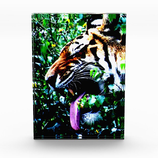 Bloque Para Fotos Amur Tiger pbm (Anverso)