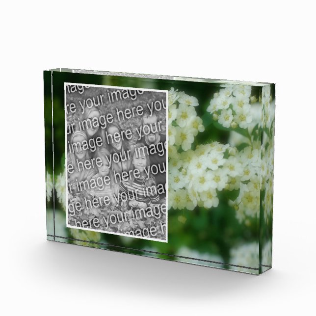 Bloque Para Fotos Apuestas rosas blancas salvajes añaden las suyas (Derecha)