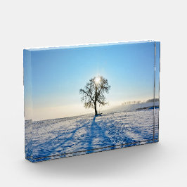 Bloque Para Fotos Árbol de invierno al amanecer    -     -