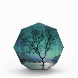 Bloque Para Fotos Árbol de luces boreales