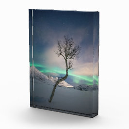 Bloque Para Fotos Árbol de luces boreales