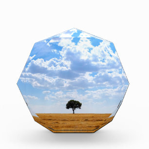 Bloque Para Fotos Árbol en un campo de trigo cosechado