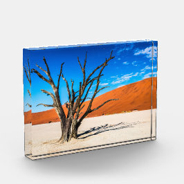 Bloque Para Fotos Árbol muerto en Deadvlei, Namibia