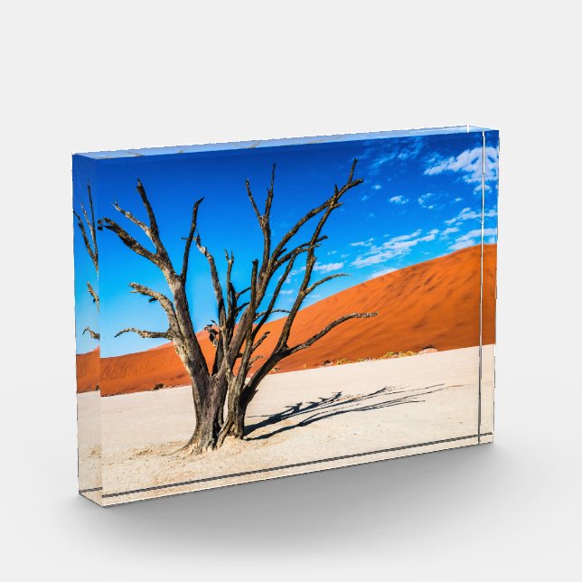Bloque Para Fotos Árbol muerto en Deadvlei, Namibia (Izquierda)