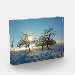 Bloque Para Fotos Árboles de invierno   -     -