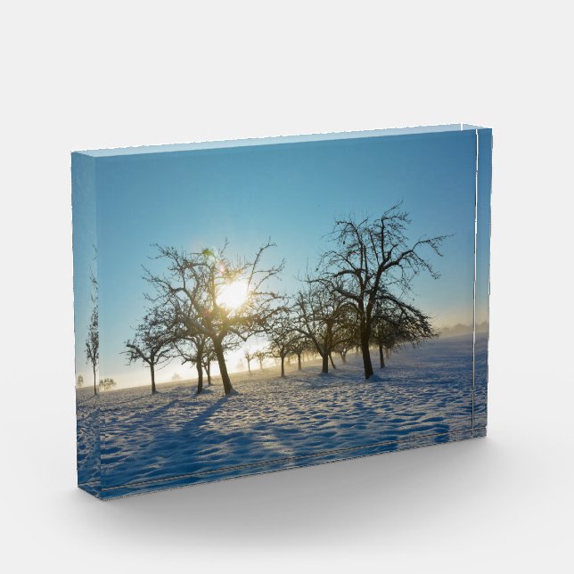 Bloque Para Fotos Árboles de invierno   -     - (Izquierda)
