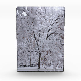 Bloque Para Fotos Árboles de nevada