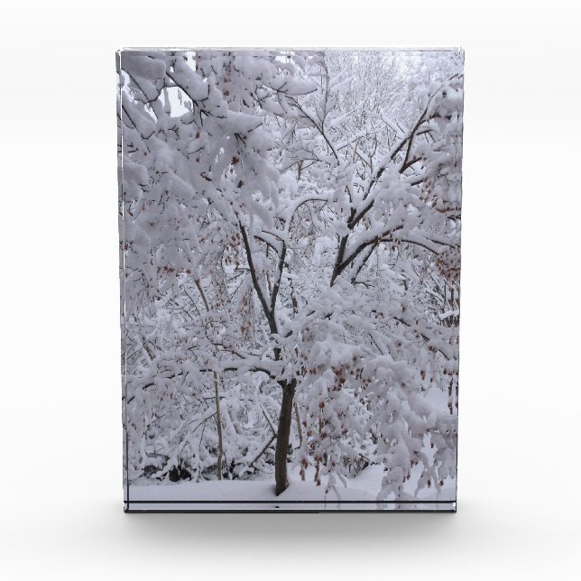 Bloque Para Fotos Árboles de nevada (Anverso)