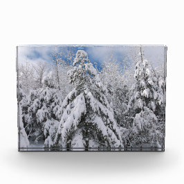 Bloque Para Fotos Árboles nevados