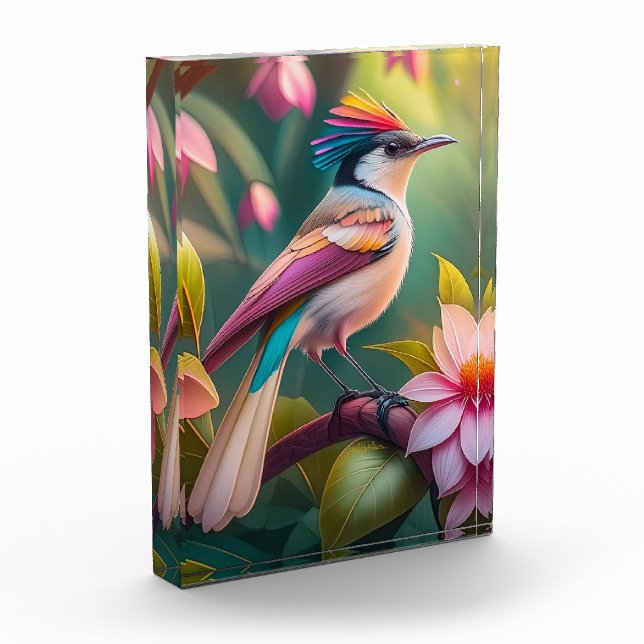 Bloque Para Fotos Arcoiris con crema Jay Fantasy Bird (Izquierda)