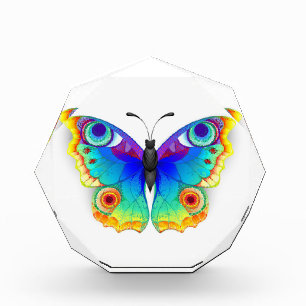 Bloque Para Fotos Arcoiris mariposa Peacock Eye
