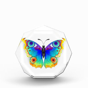 Bloque Para Fotos Arcoiris mariposa Peacock Eye