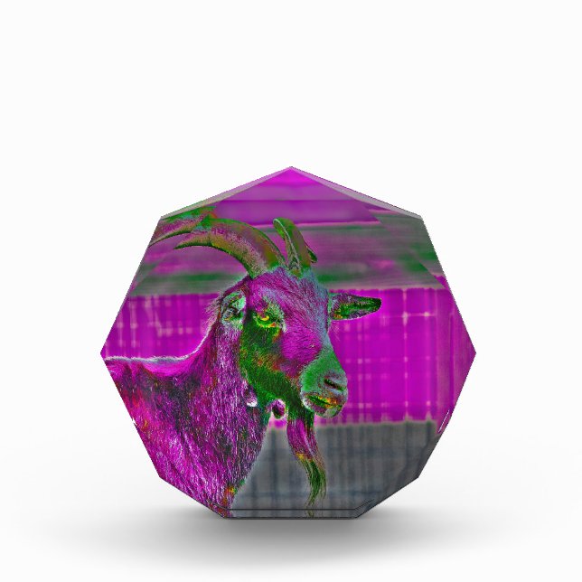 Bloque Para Fotos Arte de cabra (Anverso)