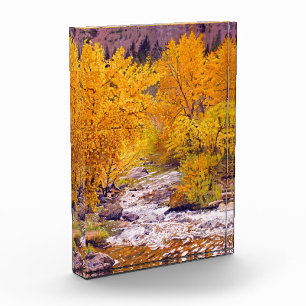 Bloque Para Fotos Aspirantes de otoño coloridos en Colorado