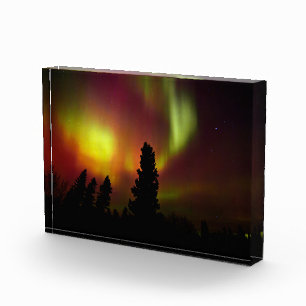 Bloque Para Fotos Aurora boreal y árboles