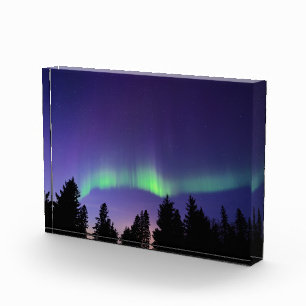 Bloque Para Fotos Aurora boreal y árboles Manitoba, Canadá