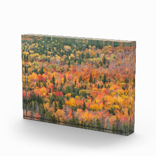 Bloque Para Fotos Autumn Foliage   Keweenaw Peninsula, Michigan