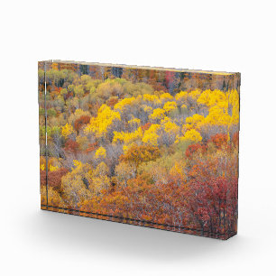 Bloque Para Fotos Autumn in Michigan