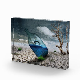 Bloque Para Fotos Ballena asesina en botellas