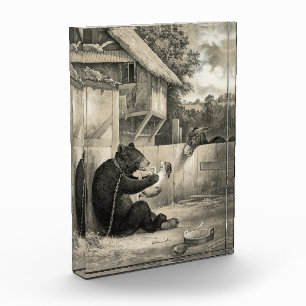 Bloque Para Fotos Beard - Bear, Dog and Donkey