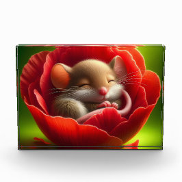 Bloque Para Fotos Bebé muy adorable mientras duerme el ratón