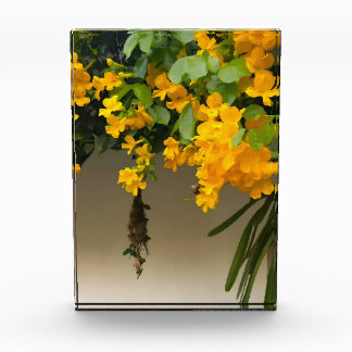 Bloque Para Fotos Belleza Flor de Oro