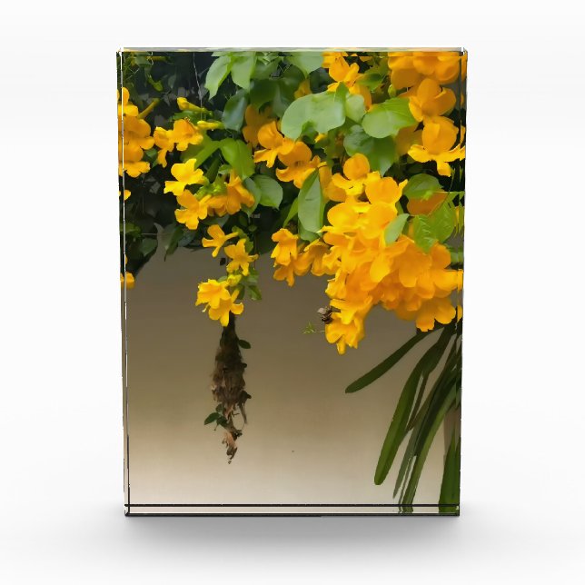 Bloque Para Fotos Belleza Flor de Oro (Anverso)