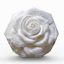 Blanco Sobre Blanco - Rosa Esculpida