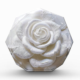 Bloque Para Fotos Blanco Sobre Blanco - Rosa Esculpida