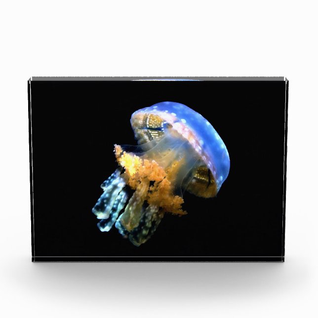 Bloque Para Fotos Blue Jellyfish (Anverso)