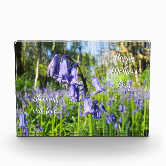 Bloque Para Fotos Bluebells en flor - Día personalizado de la madre (Anverso)