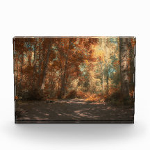 Bosque Arcoíris