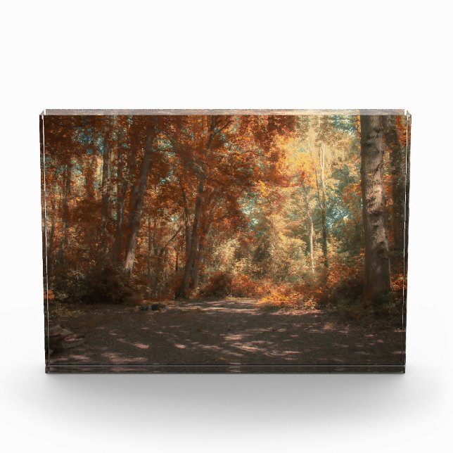 Bloque Para Fotos Bosque Arcoíris (Anverso)