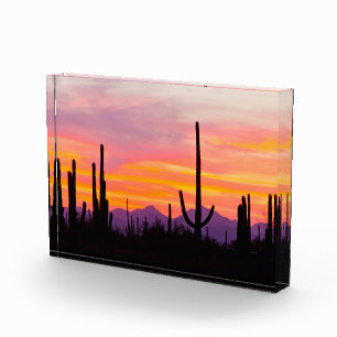 Bloque Para Fotos Bosque de Cactus Saguaro al Atardecer