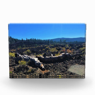 Bloque Para Fotos Bosque de cuenca de lava, O